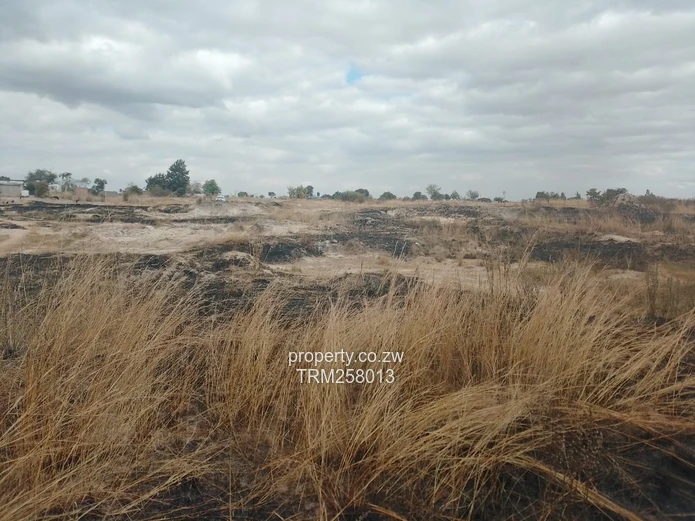 Sunnyside Central Agricultural plot for sale 