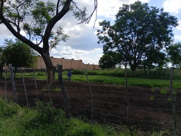 Farm & Agricultural Land