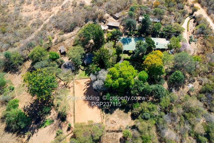 Expansive Gwanda Gem