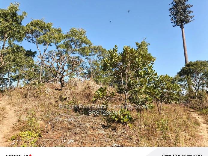 Awesoment investment