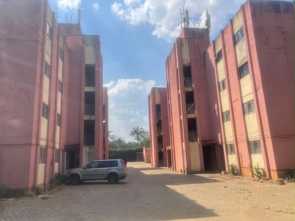 Flat & Apartment