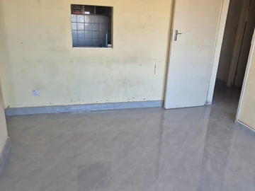 Flat & Apartment