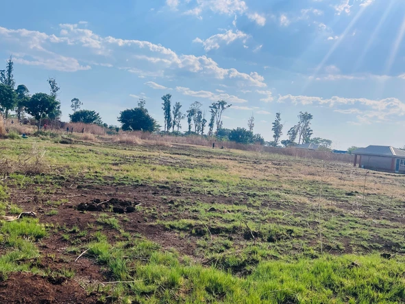 Stands & Residential Land