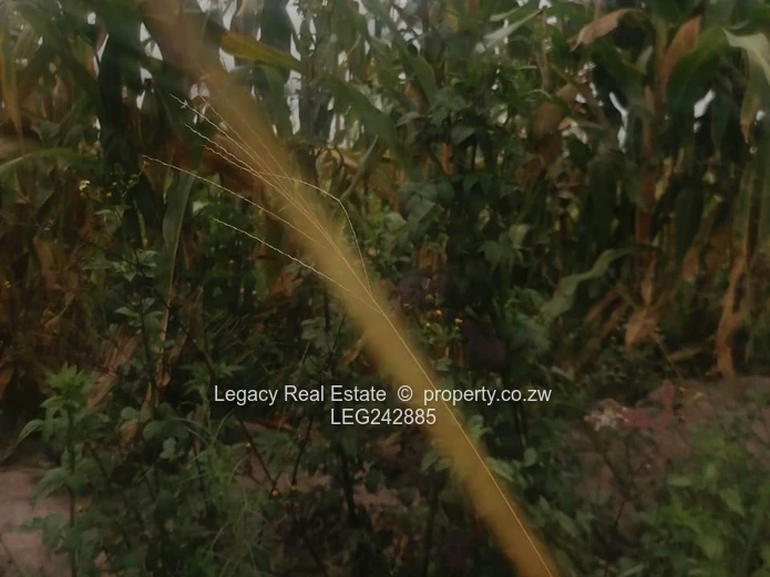 Zvimba Farm for Sale – 50.6 Hectares with Title Deeds