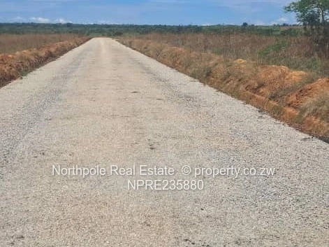 Nyabira Stand For Sale - Paarl Township