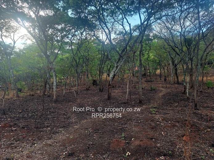 Well-treed Lake Chivero Stand (taking mortgage). . . (Sole Mandate)
