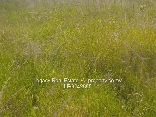 Zvimba Farm for Sale – 50.6 Hectares with Title Deeds