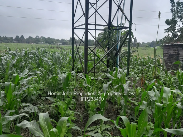 Gletwin Property For Sale 