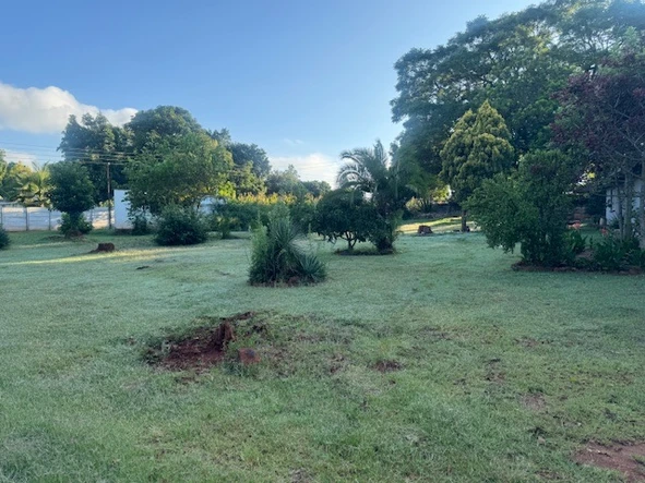 Stands & Residential Land