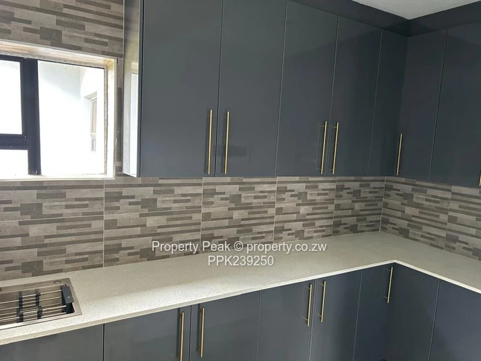 Mount Pleasant Heights  Brand New House For Sale 