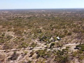 Farm & Agricultural Land