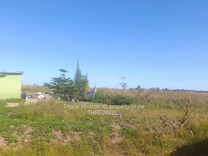 1000m² Norton Stand — Level, built up area
