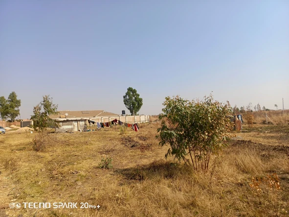 Stands & Residential Land