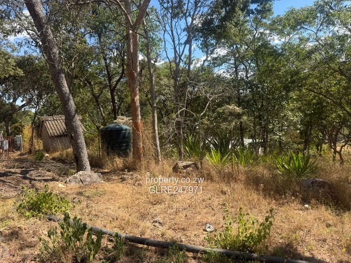 3500m² Tree-Shaded Stand with Gated Access in Glen Lorne