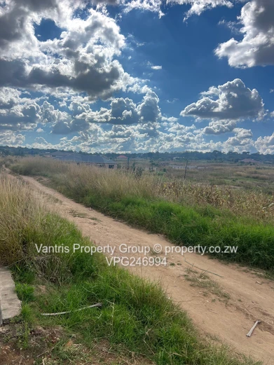 Palm village stands for sale !! 