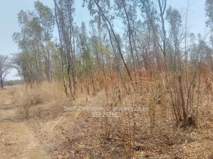 109,174ha Whitecliff Farm — Subdivision Potential 