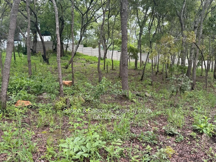 Vacant residential stand for sale in Umwinsidale 