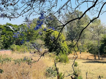 Commercial & Industrial Land