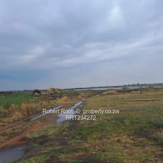 Close to Kirkman Drive (Sole Mandate)