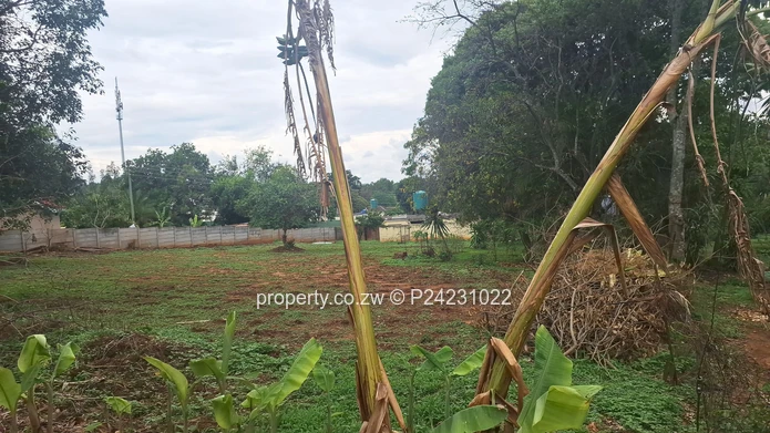 Greystone Park $179K