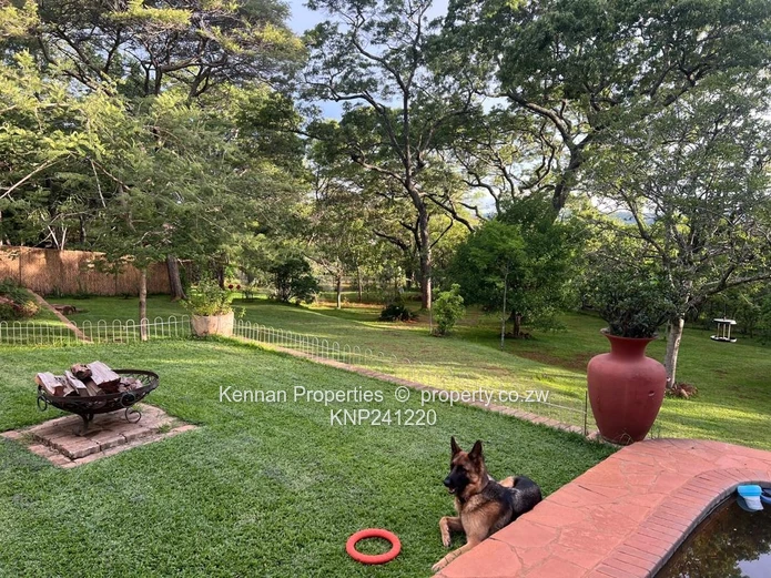 Spacious property on 7,5acres of land with beautiful msasa trees