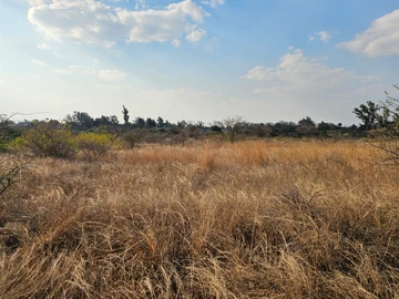 Land