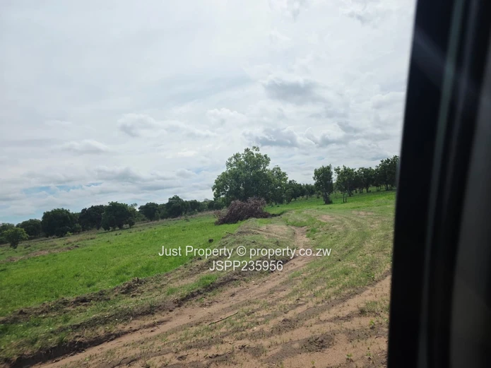 30 Hectares Plot to rent