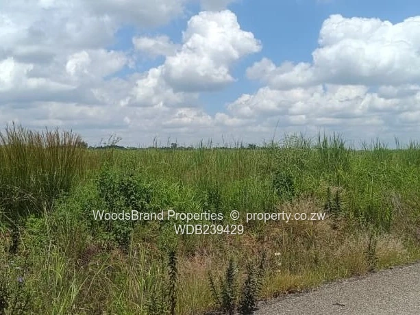 Shineplus Stand for sale