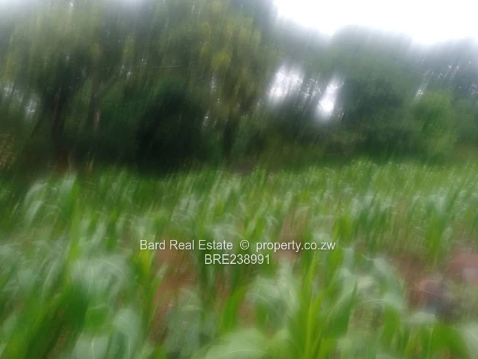 26ha Borrowdale — Subdivide-Ready, Main Road Frontage