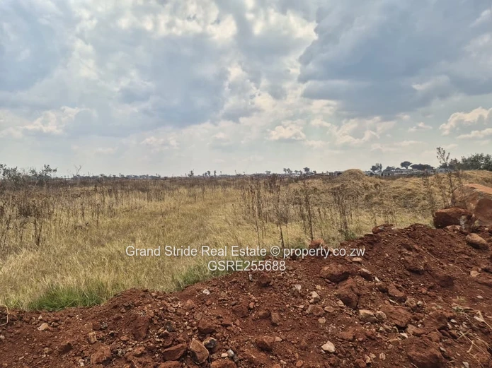 Nyeredzi Ridge Stand For Sale