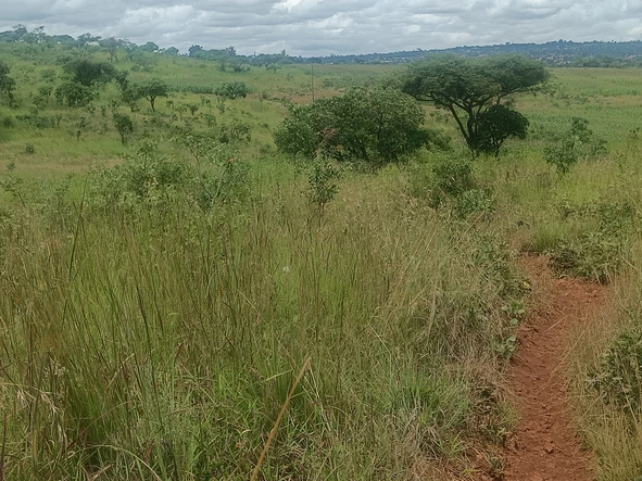 Farm & Agricultural Land