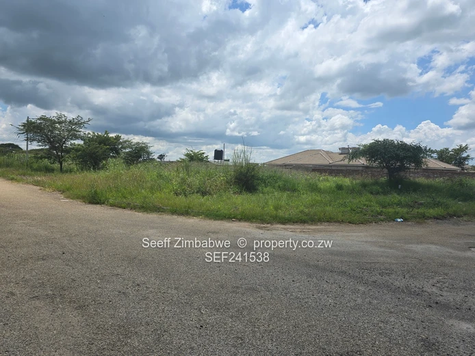 Great Investment Opportunity