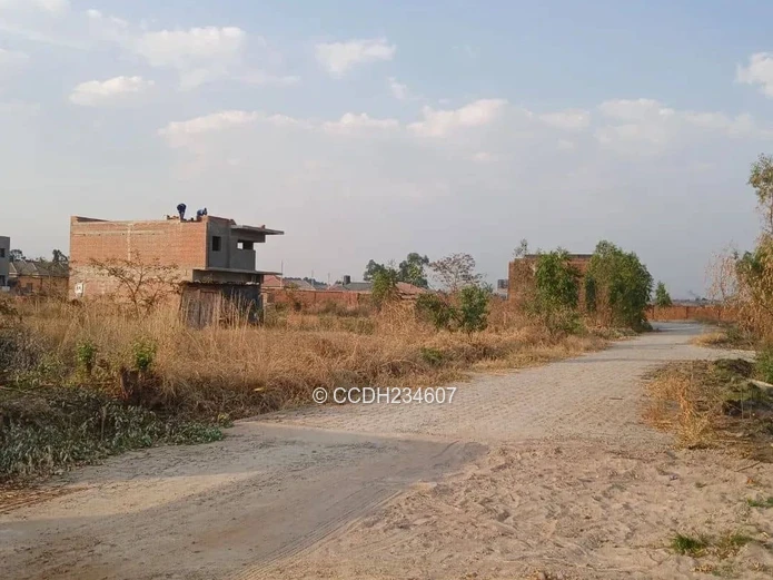 Tynwald Cluster Stand (Sole Mandate)