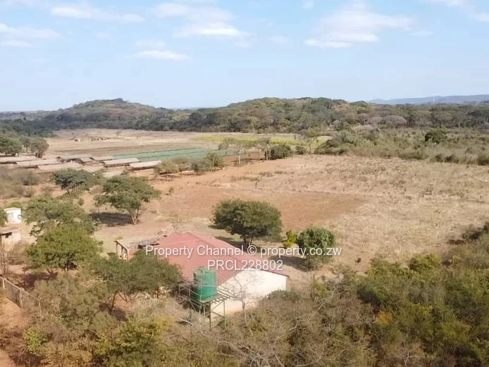 Property for Sale – 2.5ha Chicago Plots, Kwekwe