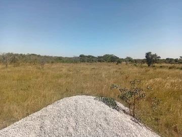 Farm & Agricultural Land