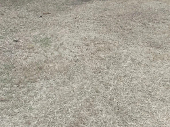 5 Bedroom Townhouse Complex