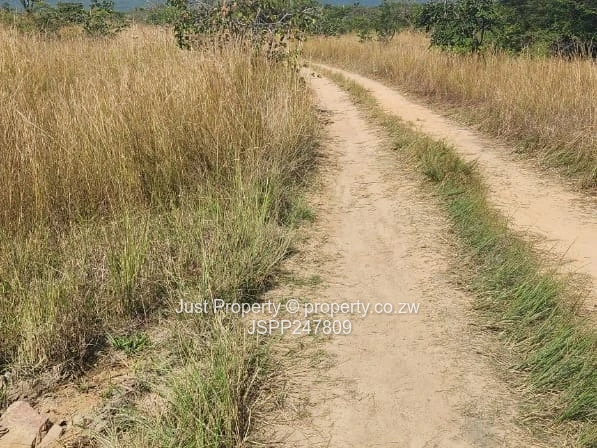 Wedza Primary and Secondary School stand