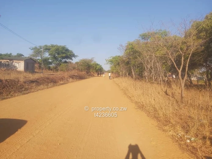 Gweru Hertfordshire stand for sale  (Sole Mandate)