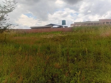 Commercial & Industrial Land