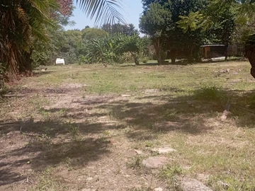 Commercial & Industrial Land