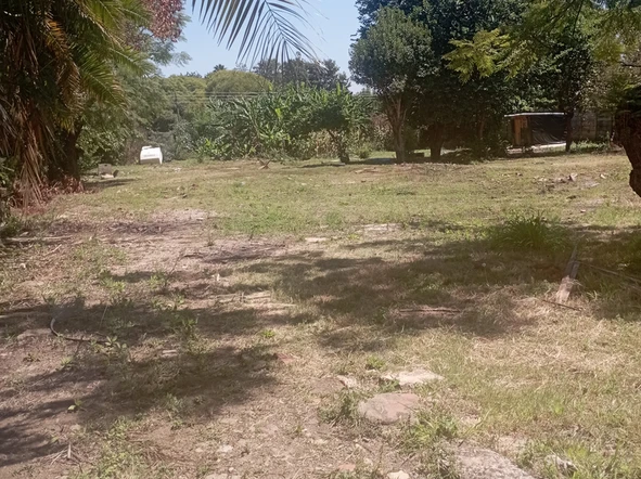 Commercial & Industrial Land