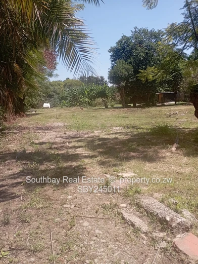 Avondale, Off Natal Road Commercial Stand, Close to ZB Bank