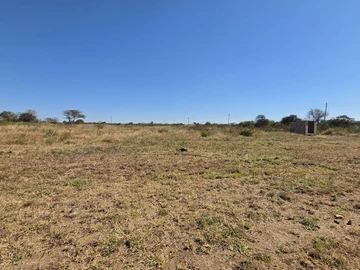 Farm & Agricultural Land