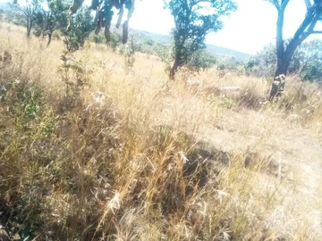 Farm & Agricultural Land