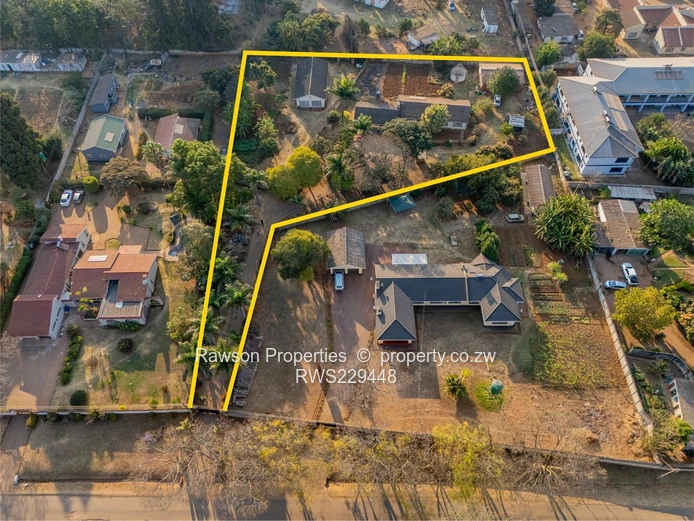 Golden Oldie in Marlborough 