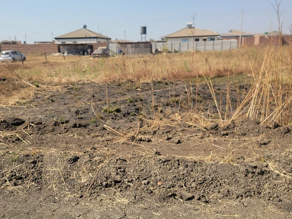 Stands & Residential Land