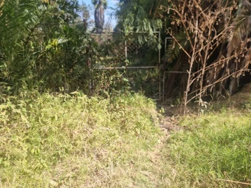 Commercial & Industrial Land