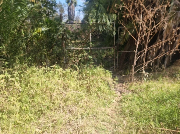 Commercial & Industrial Land