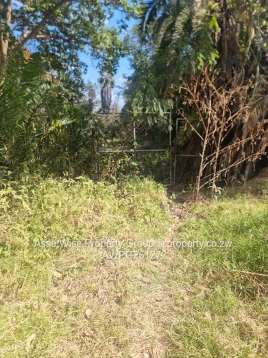 2100m² Tree-lined Commercial Plot in Avondale — Services