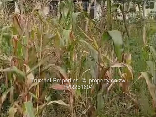 1000m2  Stand at Crowhill Views, Harare N – Gravel Road Access